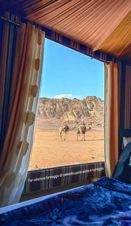 Wadi Rum Star Camp Exteriör bild